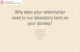 Why does your veterinarian need to run laboratory tests on ...Equine/Donkey Metabolic Syndrome (EMS) •Collection of risk factors for endocrinopathic laminitis •Donkeys at high