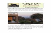 Ngwenya Lodge Resale June 2016 - Winchester Marketing Ridge Ri… · Swimming pool and Boma. A run-flow swimming pool with martini seat has a stunning view over the Crocodile River.
