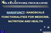NANOFUNCT: NANOSCALE FUNCTIONALITIES FOR MEDICINE ...polly.phys.msu.ru/seminar/vms/24122002/nanofunct1.pdf · Fundamental Aspects / New Knowledge - WP3: Surface Functionalization.