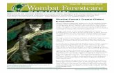 Newsletter - Amazon S3 · 2019-02-06 · 3 Wombat Forestcare Newsletter - Issue 46 There are five FESA sites in the Wombat Forest and each one is divided into five areas; spring burn