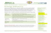 ENERGY USE AND DELIVERY – LESSON PLAN 3.5 Energy Efficiency 3.5 Energy... · 2018-05-09 · LESSON PLAN: LESSON 3.5 – ENERGY EFFICIENCY Page 1 of 6 ENERGY USE AND DELIVERY –