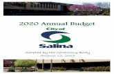 2020 Annual Budget - Welcome to the City of Salina, Kansas · Kansas cities by leveraging partnerships and economic opportunity to ensure a safe, progressive and healthy ... with