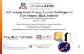 Addressing Rural Strengths and Challenges in Five …...Addressing Rural Strengths and Challenges in Five Unique AHEC Regions Arizona Rural Health Conference July 27, 2018 Marica Martinic,
