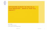 OFFSHORE SURVEY IN THE OIL & GAS INDUSTRY…WHAT’S THAT …€¦ · Careers in Offshore Survey ... • Anchoring conditions Surveys SAFETY CRITICAL ACTIVITY DO WE KNOW WHAT ELSE