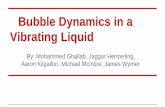 Bubble Dynamics in a Vibrating Liquidgabitov/teaching/141/...•Bubbles can sink in a vibrating liquid • The vibration can come from the liquid being directly agitated or agitation