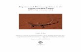 Experimental Thermoregulation in the Wedge-Snouted Lizard ... · For most vertebrates, the sensory physiology and anatomy of thermoregulation is quite similar. Whether in endotherms