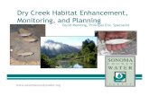 Dry Creek Habitat Enhancement, Monitoring, and Planning · Dry Creek Habitat Enhancement Project: SCWA SCWA, It FlInterFluve, ESSA Inc. Milestone:Habitat Enhancement Feasibility Study