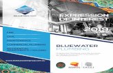 Bluewater Plumbing EOI2019 UPDATEbluewater-plumbing.com.au/sites/default/files/pdf/... · a co-director of "Bluewater Plumbing NSW Pty Ltd". ... Waterpoint: Shepherds Bay Retail Village,