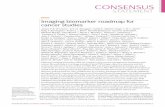 Imaging biomarker roadmap for cancer studies · Network (QIN)25 and the Cancer Imaging Program phase I and II Imaging trials initiative 26, the Quantitative Imaging Biomarkers Alliance