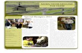 Special Olympics 2014 - Main Stay Therapeutic Farm Olympics 2014.pdf · Equestrian Special Olympics games included more riders and more wonderful experi-ences for riders, families,