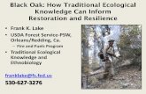 Black Oak: How Traditional Ecological Knowledge Can Inform ... · Oaks as a Cultural Keystone Species: • Many tribes have a high dependency on oaks for food (acorns) and cultural