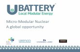 Micro-Modular Nuclear A global opportunity 23/Side-Event... · 2017-11-28 · NUCLEAR ENERGY SYSTEMS Moderate 6 Core Nuclear Graphite (single core load) 1 1,274,091.00 £ 1,274,091.00