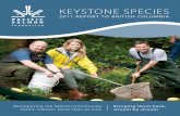 KEYSTONE SPECIES - PSF · KEYSTONE SPECIES 03 STATE OF PACIFIC SALMON acific salmon are a “key-stone species” in Brit-ish Columbia, underpin-ning entire ecosystems. Their habitats