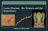 Lyme Disease: the Science and the Experience - PANDASpandasnetwork.org/wp-content/uploads/2018/10/Day-2... · Slide courtesy of Stephen Barthold, UC Davis. Spirochetes can be visualized