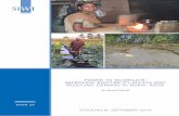 POWER TO SEGREGATE: IMPROVING ELECTRICITY ACCESS ... - India… · GEB Gujarat Electricity Board GW Gigawatt HVDS High Voltage Distribution System IMF International Monetary Fund