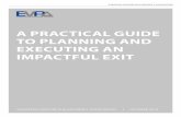 A PRACTICAL GUIDE TO PLANNING AND EXECUTING AN … · key elements of its investment strategy and derives the implications for the exit strategy. The key exit considerations are developed