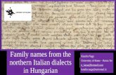 Family names from the northern Italian dialects in Hungarian · (Chef Bálint, Bálint's son already had the surname ‘chef’to conserve his father's trade). “Nextimportant change