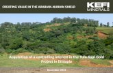 CREATING VALUE IN THE ARABIAN-NUBIAN SHIELD - KEFI Minerals | Emerging Gold … · 2014-03-27 · Corporation Limited and Gympie Gold Limited. Jeff Rayner Managing Director BSc. Hons.