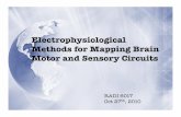 Electrophysiological Methods for Mapping Brain Motor and ...ric.uthscsa.edu/.../RADI6017-chapters-9-2010.pdf · Methods for Mapping Brain Motor and Sensory Circuits RADI 6017 Oct