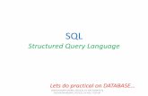SQL Structured Query Language - python4csip.compython4csip.com/files/download/DML Command and Various Clause… · SQL –Structured Query Language Is a language that enables you