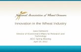 Innovation in the Wheat Industry - AEIC...Innovation in the Wheat Industry Jane DeMarchi Director of Government Affairs for Research and Technology AEIC Spring Meeting April 19, 2012The