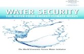 Water Securitywefnexus.tamu.edu/files/2015/01/WEF-Water-Security-Book...Water Security The Water-Food-Energy-Climate Nexus “Water sits at the nexus of so many global issues . . .