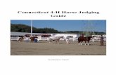 Connecticut 4-H Horse Judging Guide · Connecticut 4-H Horse Judging Guide Margaret I. Rausch Why Horse Judging? Horse judging is a useful skill for many people, not just those in