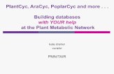 PlantCyc, AraCyc, PoplarCyc and more . . . Building databases · PMN database content statistics pLatest PMN release –April 2011 PlantCyc 5.0 AraCyc 8.0 PoplarCyc 3.0 Pathways *