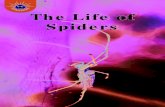 The Life of Spiders - Titlewave · Spiders’ Webs Some spiders build webs to catch insects. The spider sits on the web and waits for the insect to fly into the web. ... The Brazilian