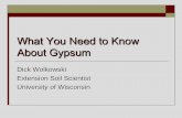 What You Need to Know About Gypsum...Gypsum uses Wallboard Setting agent in concrete Additive for fast-dry clay tennis courts Blackboard chalk Binder in tofu Soil amendment Gypsum