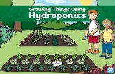 Growing Things Using Hydroponics...Growing Things Using Hydroponics Now, we know that growing things using hydroponics gives us the ability to grow more in a shorter space of time.