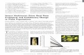 Insect Herbivores Drive Real-Time Ecological and …...Published online 6 September 2012; 10.1126/science.1223821 Insect Herbivores Drive Real-Time Ecological and Evolutionary Change