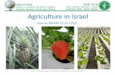 Agriculture in Israel · Research, Economy and Strategy Division - Ministry of Agriculture and Rural Development 1. Create the conditions for increasing production, based on demand
