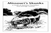 Missouri's Skunks, A guide to Nuisance Prevention and Damage … · 2020-01-03 · Skunk odor can be dealt with, but it helps to have some understanding of skunks, their musk glands