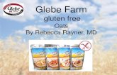 Glebe Farm Gluten Freed3hip0cp28w2tg.cloudfront.net/uploads/2015-11/rebecca-rayner-1.pdf · Clean harvest machinery to avoid contamination Ie the combine, tractors and trailers, grain
