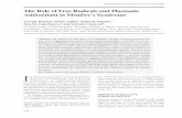 The Role of Free Radicals and Plasmatic Antioxidant in Meniere's … · 2017-10-20 · mines (formation of adrenochrome). The effects, sometimes serious, induced by ROS on the cells