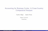 Accounting for Business Cycles: A Cross-Country ... · To study the business cycles, we largely borrow from the Business Cycle Accounting (BCA) framework developed by Chari, Kehoe,