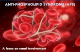 ANTI-PHOSPHOLIPID SYNDROME (APS)...Renal artery stenosis and hypertension Anti-hypertensive agents in addition to anticoagulants Sciascia S et al. Nat. Rev. Nephrol. 2014;10:279-89.