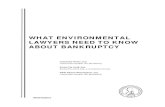 WHAT ENVIRONMENTAL LAWYERS NEED TO KNOW ABOUT BANKRUPTCY€¦ · WHAT ENVIRONMENTAL LAWYERS NEED TO KNOW ABOUT BANKRUPTCY . Cassandra Porter, Esq. Lowenstein Sandler LLP (Roseland)