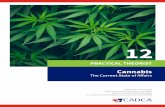 PRACTICAL THEORIST · 2020-07-09 · PRACTICAL THEORIST 12: Cannabis, the Current State of Affairs | 3 Liquid or wax formulations with high concentrations of THC, called concentrates,