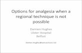 Options for analgesia when a regional technique is not ... · •The Cochrane Library 2012, Issue 11 •No benefit shown for analgesia requirements. ... –Cochrane Database Syst