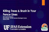Killing Trees & Brush in Your Fence Linesnwdistrict.ifas.ufl.edu/phag/files/2019/02/Fence... · Trees, Brush, and Fences Hurricane Michael and fences –a bad combination Granted,