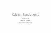 Calcium Regulation 1€¦ · Calcium Regulation 1 Dr. Sumera Gul Associate Professor Department of Physiology . Learning objectives •At the end of the lecture all the students should
