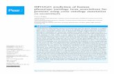 HPO2GO: prediction of human phenotype ontology term ... · The Gene Ontology (GO) is an ontological system to define gene/protein attributes with an extensive controlled vocabulary