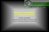Barrett`s Esophagus: Screening, Surveillance, Treatment ... · Barrett`s Esophagus Epidemiology I • 10 –20% of caucasian patients with chronic GERD endoscopically are found with