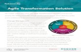Agile Transformation Solution...Agile Transformation Solution Agile Transformation Solution Change Management Using well-established change models and Agile principles, Change Management