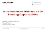 Introduction to SBIR and STTR Funding Opportunitiestfkru2exl1c11xfih48h8lmg6y-wpengine.netdna-ssl.com/... · February 24, 2016 FreeMind Group, LLC 6/34 NIH 2016 Budget - $32.31B Adapted