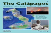 Thumbnail - download.e-bookshelf.de · 175 A Continental Plate Boundary: Tectonics at South Island, New Zealand David Okaya, Tim Stem, and Fred Davey (Eds.) 176 Exploring Venus as