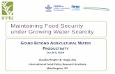 Maintaining Food Security under Growing Water Scarcity · meet food security under growing water scarcity . Global hunger and malnutrition persist . Today, about 870 million, or 1