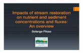 Impacts of stream restoration on nutrient and sediment ... · Filoso Translation Slides. What does this mean for me? • Function versus technique • Different factors influence